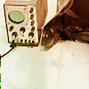 terry2