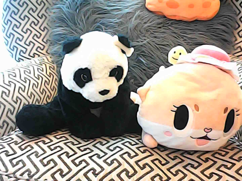 Jumbo next to a plush of the 0-year=old chaotic otter fairy, Chiitan.