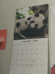 I have a calendar now. 